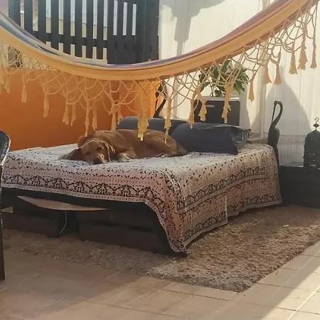 La Casita De Celia * Alicante